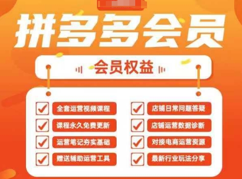 2025拼多多运营实战课,40节全流程教学,覆盖拼多多运营全链路-亮剑学堂